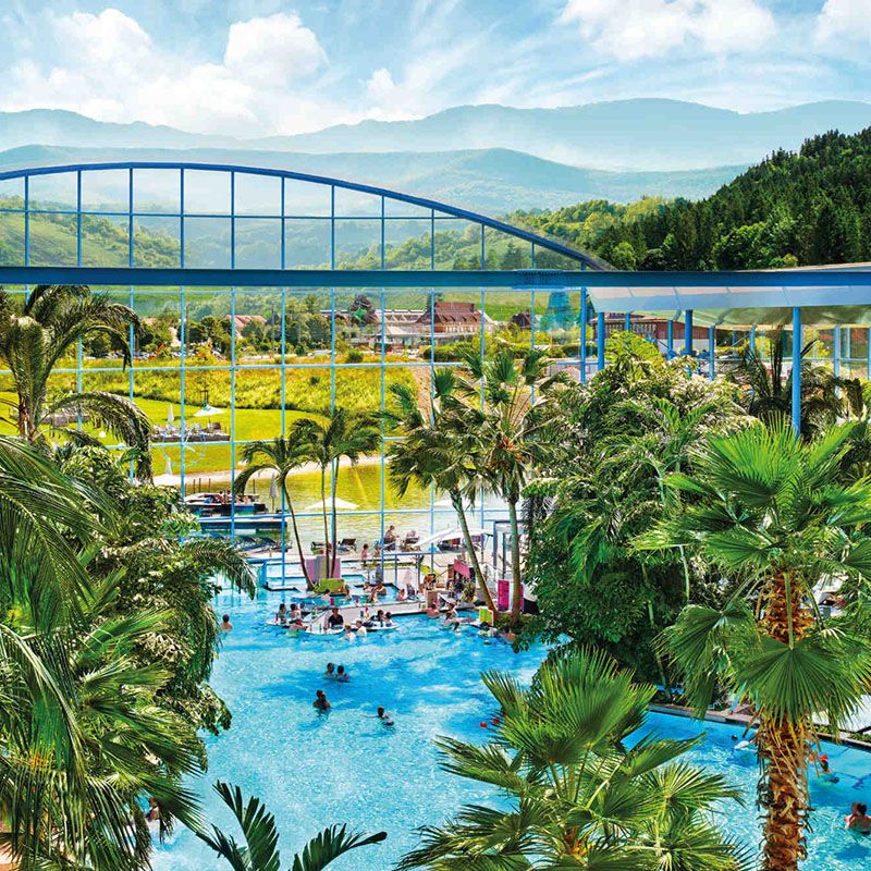 Palmenoase Damen an der Poolbar