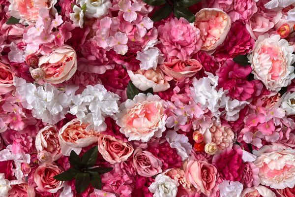 Blumenwand des Badeparadies Blumen