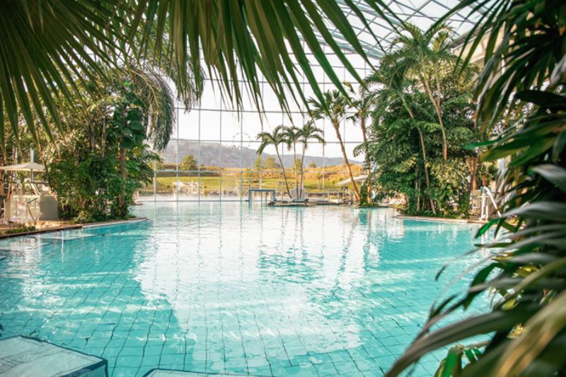Réservez dès maintenant votre billet d'entrée pour le Badeparadies Schwarzwald Grande piscine dans un spa avec des palmiers