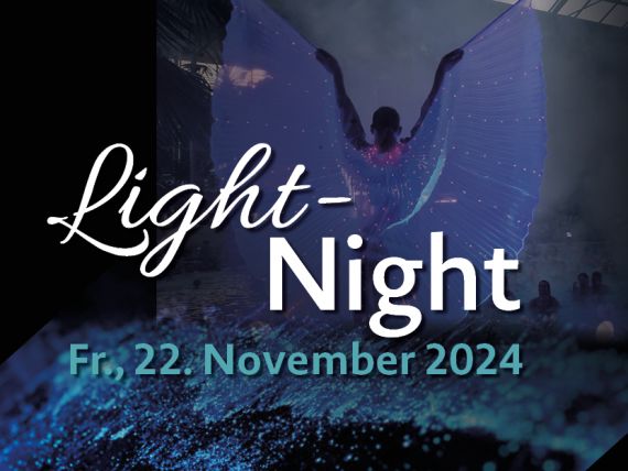 Light Night Light Night