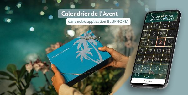Calendrier de l'Avent dans l'application Bluphoria