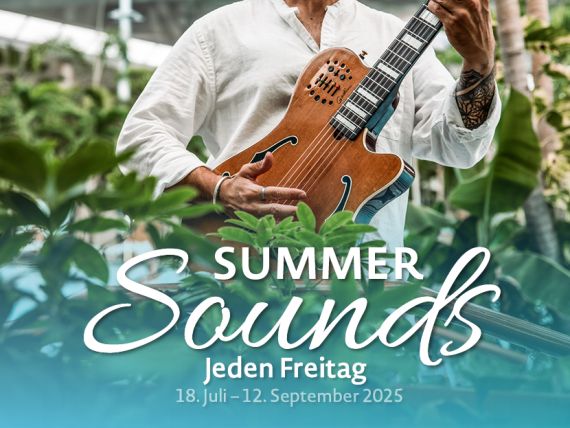 Gitarre Summer Sounds