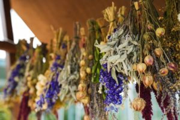 Trockenblumen Trockenblumen