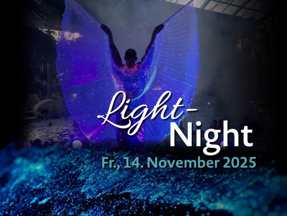 Light Night Light Night