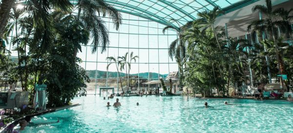 Türkisblaues Wasser der Blauen Lagune und Palmen in der Palmenoase