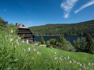 Außenansicht Schwarzwaldhaus vor dem Titisee