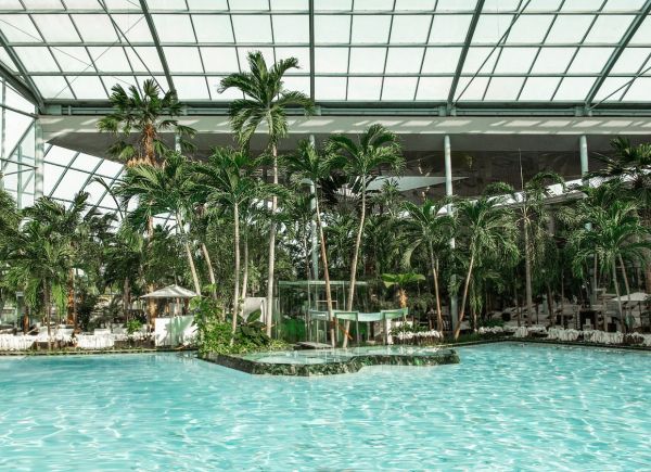Lagune umringt von Palmen in einer Therme